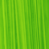 116 Bright Green Lake