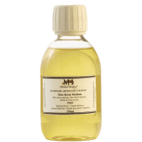 PM5 - Oleo Resin Glaze Medium - Michael Harding